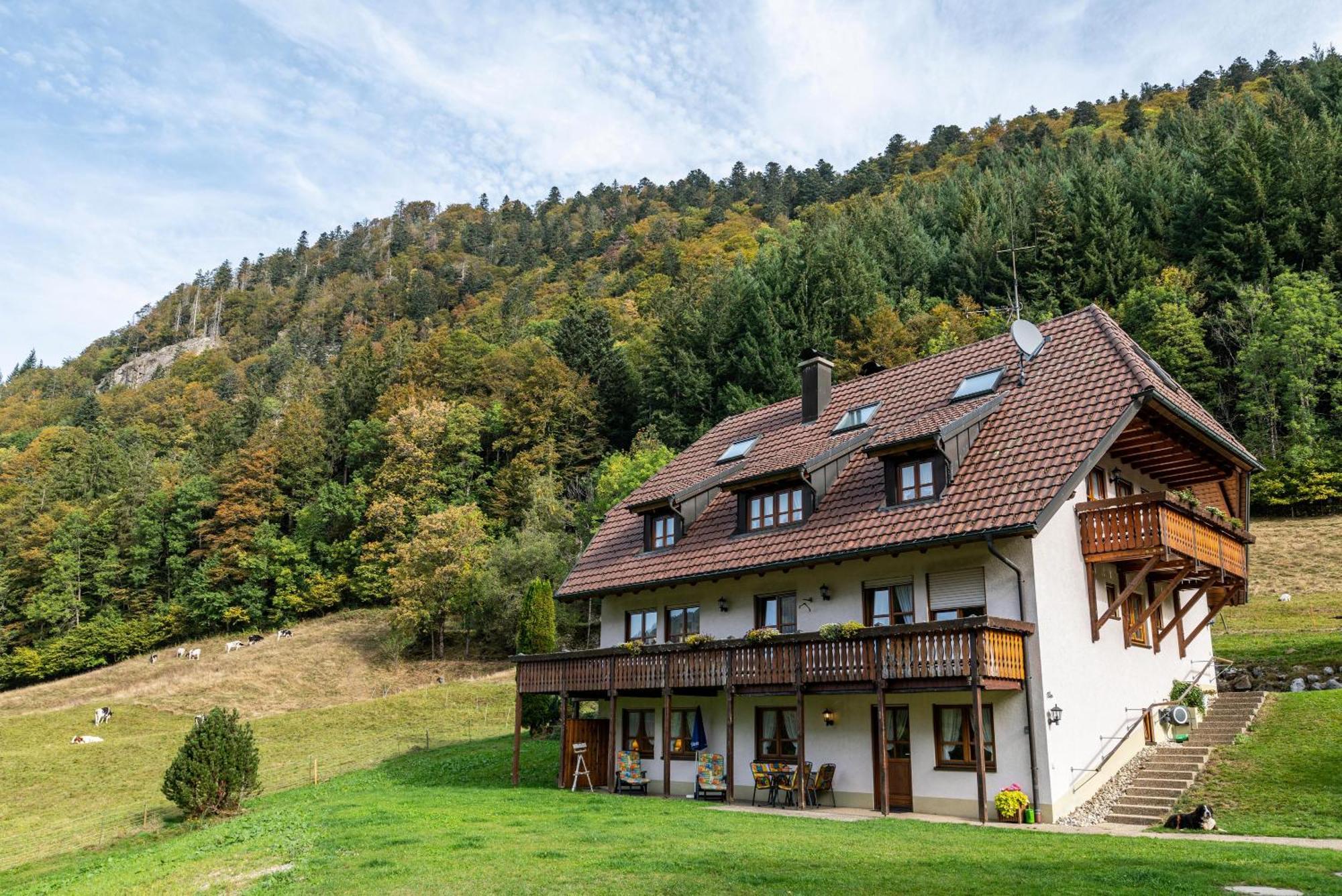 Gasthaus Zur Linde- Napf Оберрид Экстерьер фото
