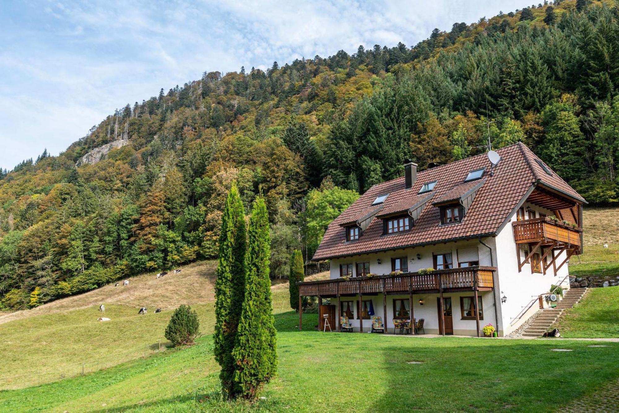 Gasthaus Zur Linde- Napf Оберрид Экстерьер фото